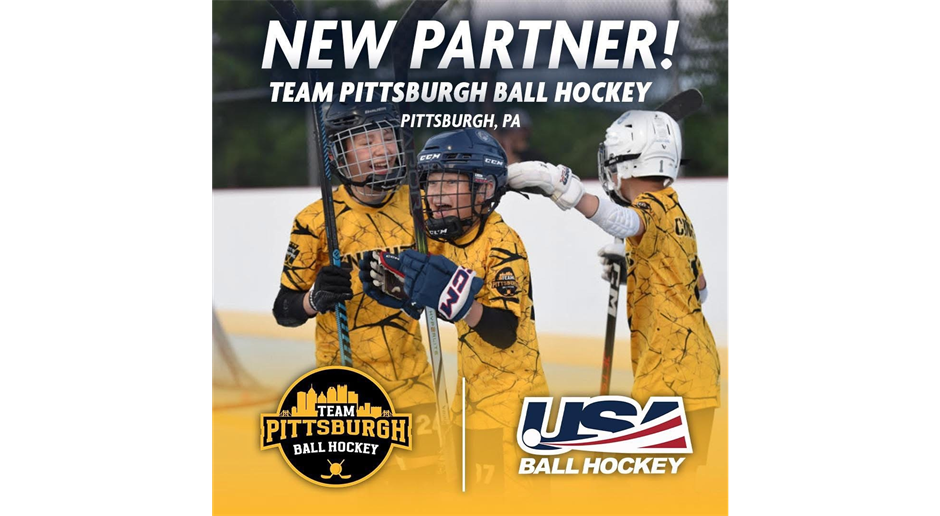 Visit USA Ball Hockey on Facebook
